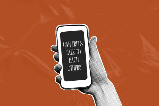 googling for curiosity, self discovery and personal growth